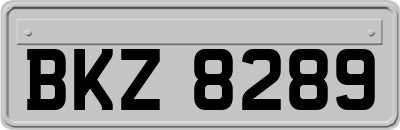 BKZ8289