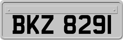 BKZ8291
