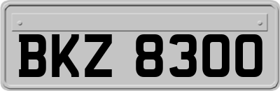 BKZ8300