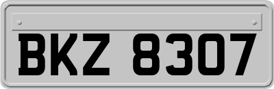 BKZ8307