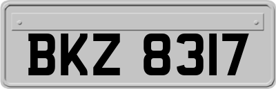 BKZ8317