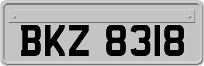BKZ8318
