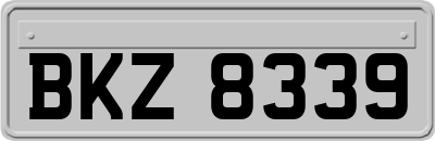 BKZ8339