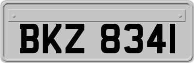 BKZ8341