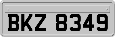 BKZ8349