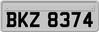 BKZ8374
