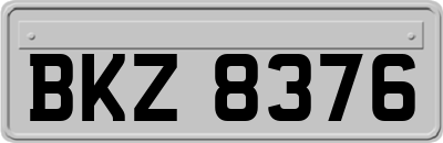BKZ8376