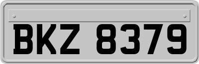 BKZ8379