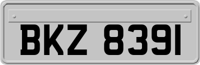 BKZ8391