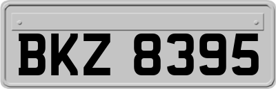 BKZ8395