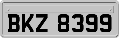 BKZ8399