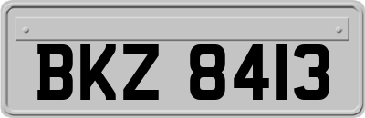 BKZ8413