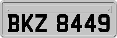 BKZ8449