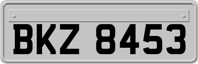 BKZ8453
