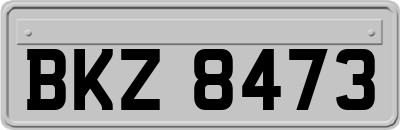 BKZ8473
