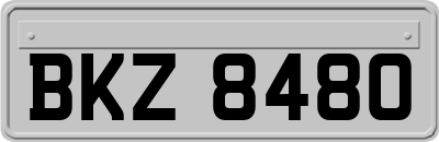 BKZ8480