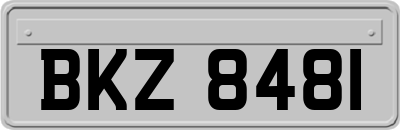 BKZ8481