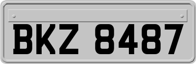 BKZ8487