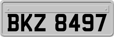 BKZ8497