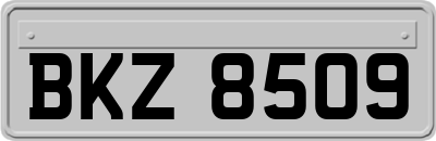 BKZ8509