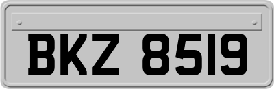 BKZ8519