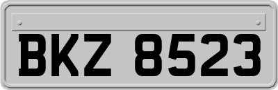 BKZ8523