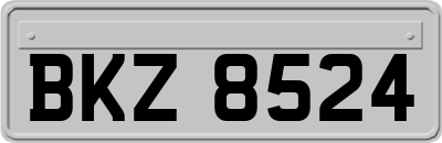 BKZ8524