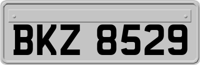 BKZ8529