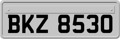 BKZ8530