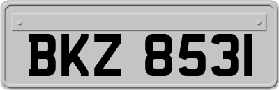 BKZ8531