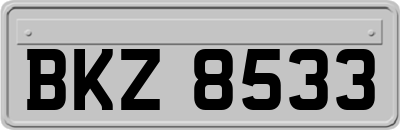 BKZ8533