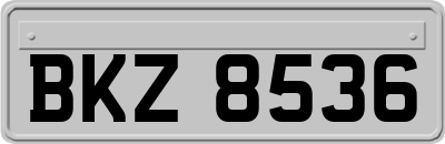 BKZ8536