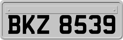 BKZ8539