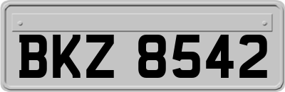 BKZ8542