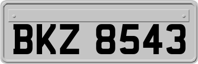 BKZ8543