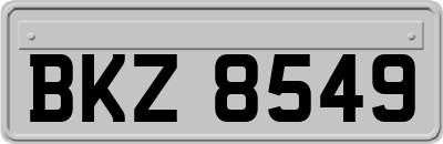 BKZ8549