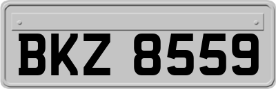 BKZ8559