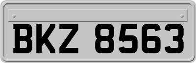 BKZ8563