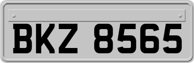 BKZ8565