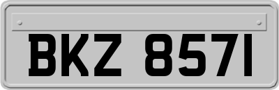 BKZ8571