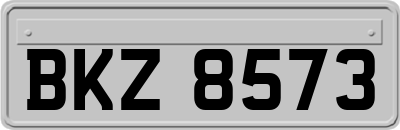 BKZ8573