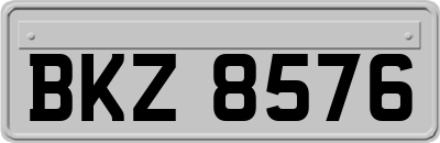 BKZ8576