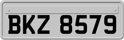 BKZ8579