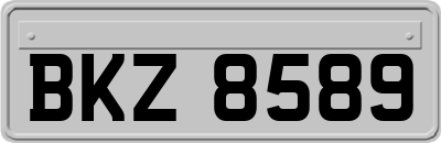 BKZ8589