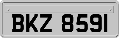 BKZ8591