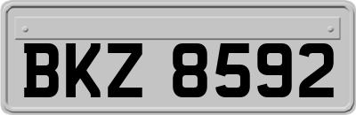 BKZ8592
