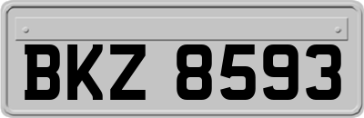 BKZ8593
