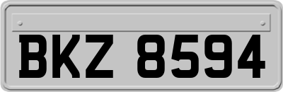 BKZ8594