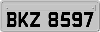 BKZ8597