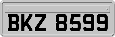 BKZ8599